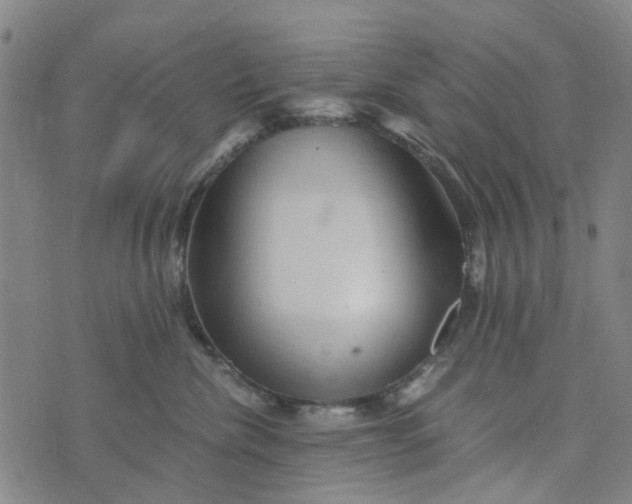 X0000076350476200610161803