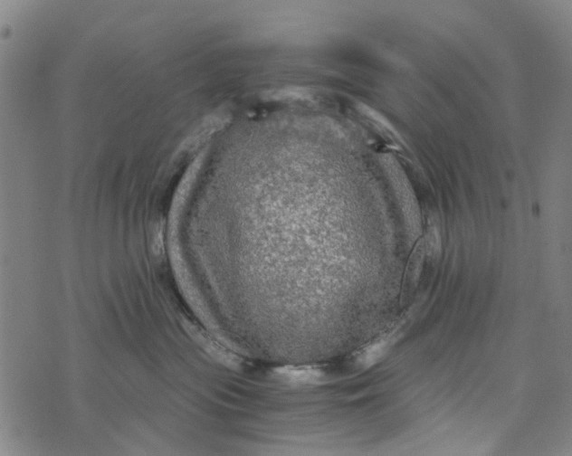 X0000076350477200610161803