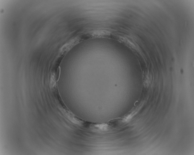 X0000076350478200610161803