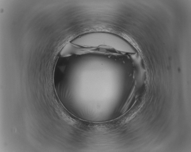 X0000076350481200610161803