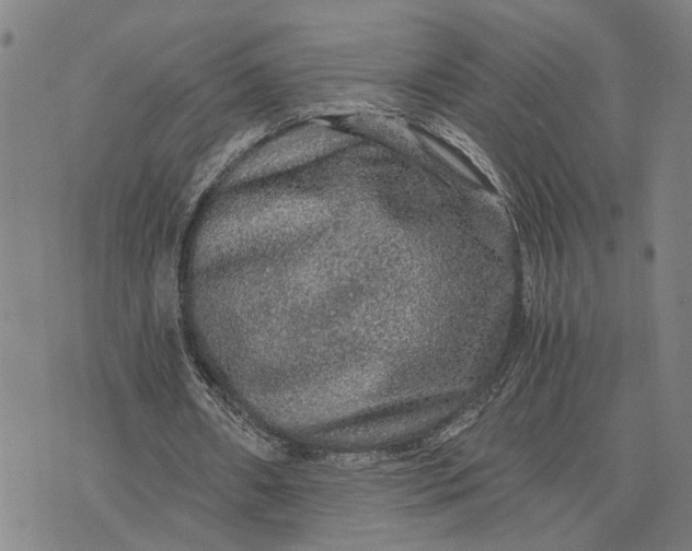 X0000076350482200610161802