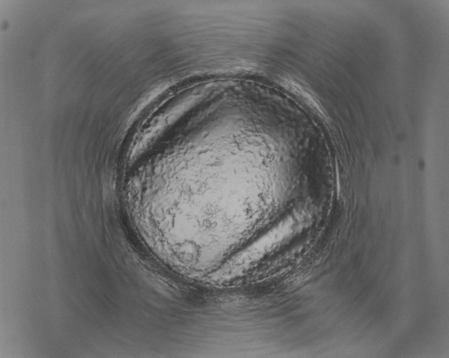 X0000076350483200610161802