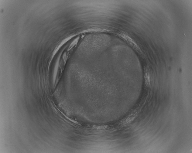 X0000076350484200610161802