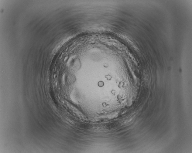 X0000076350487200610161802