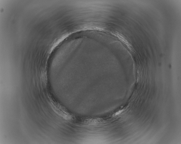 X0000076350488200610161802