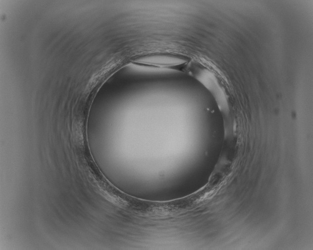 X0000076350489200610161802