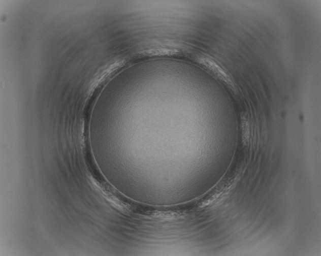 X0000076350490200610161802