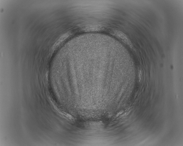 X0000076350491200610161802