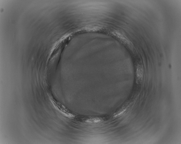 X0000076350492200610161802