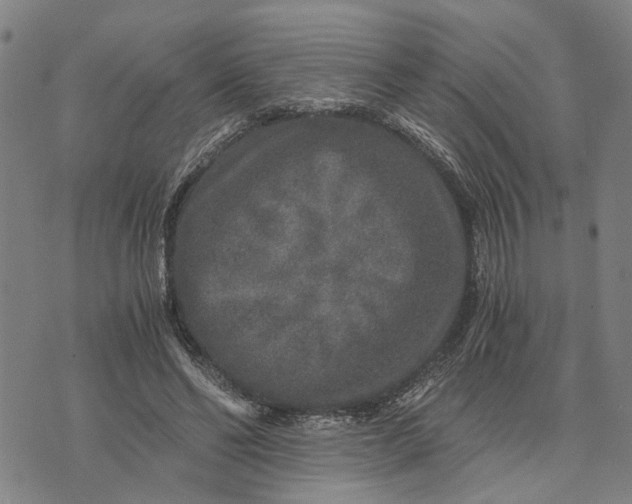 X0000076350494200610161802