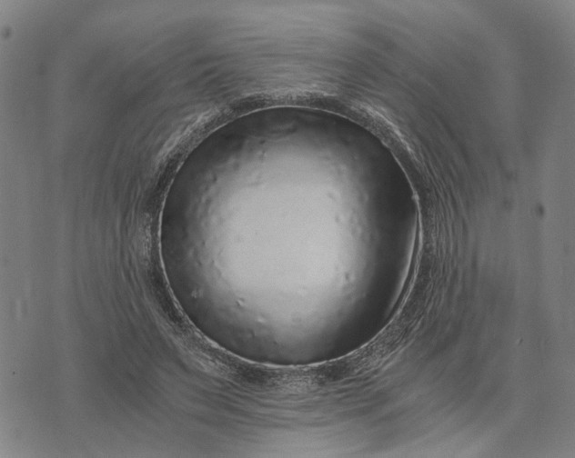 X0000076350495200610161802