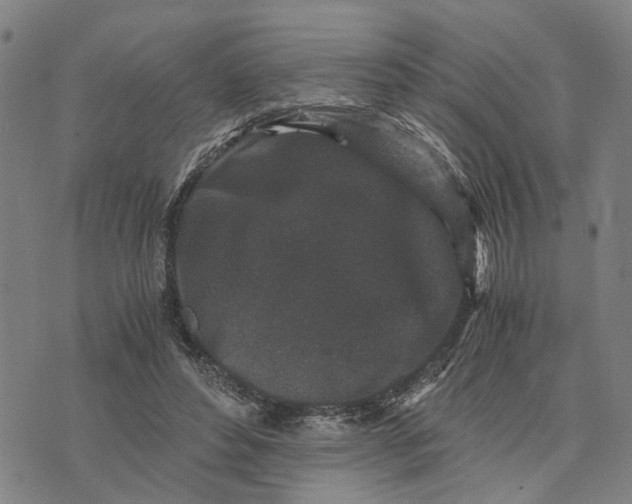 X0000076350496200610161802