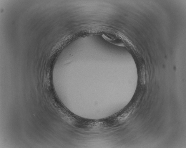 X0000076350497200610161802