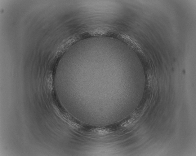 X0000076350498200610161802