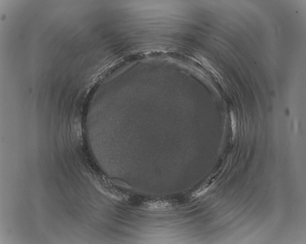 X0000076350500200610161802