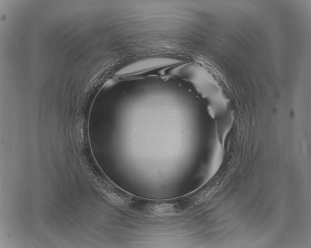 X0000076350501200610161802