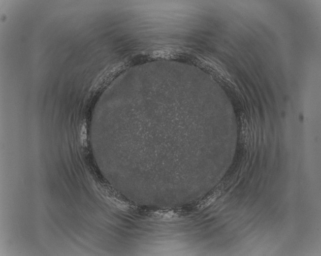 X0000076350502200610161802