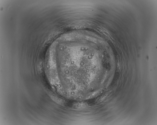 X0000076350503200610161802