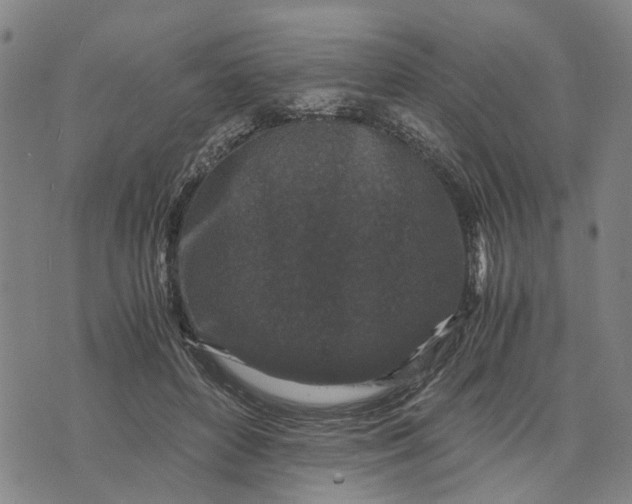 X0000076350504200610161802