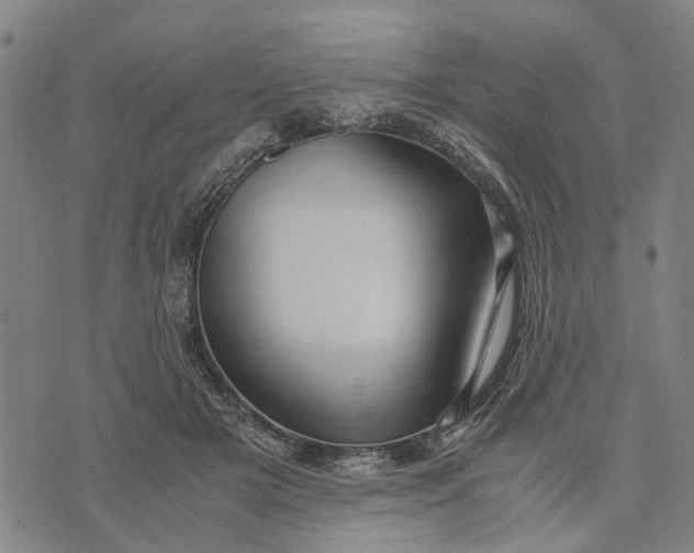 X0000076350505200610161802