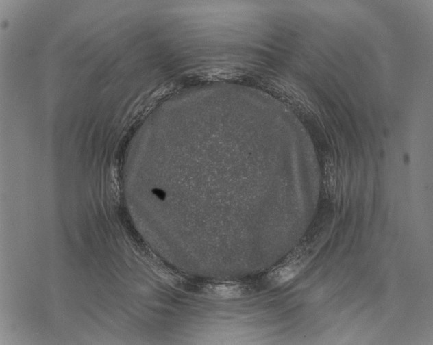 X0000076350506200610161802