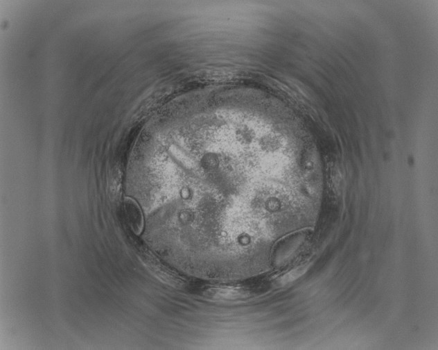 X0000076350507200610161802