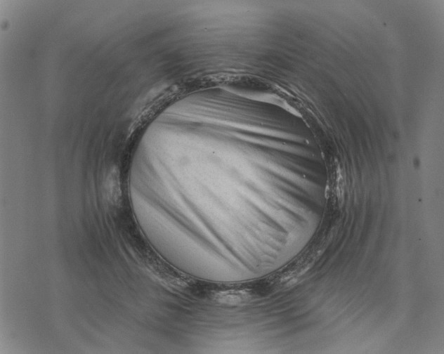 X0000076350508200610161802