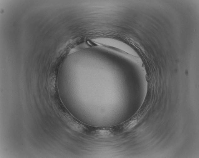 X0000076350509200610161802