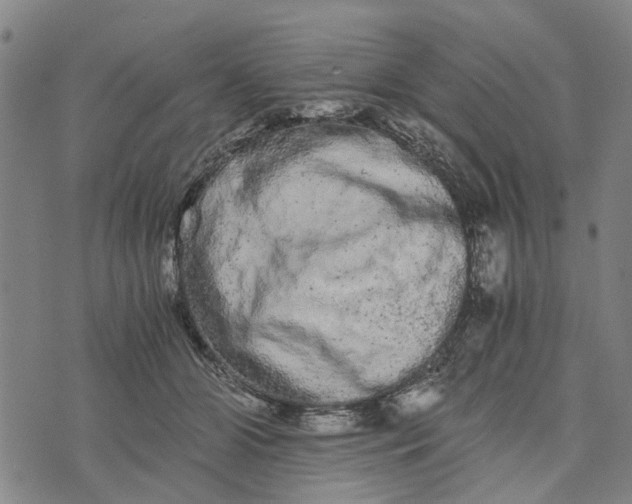 X0000076350510200610161802