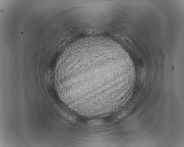 X0000076350511200610161802