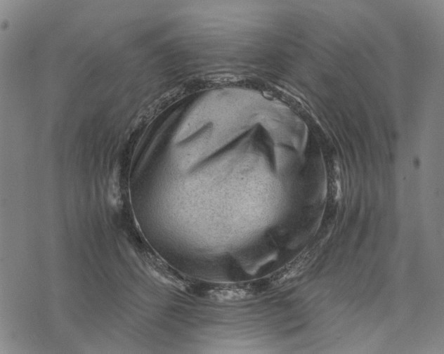 X0000076350512200610161802