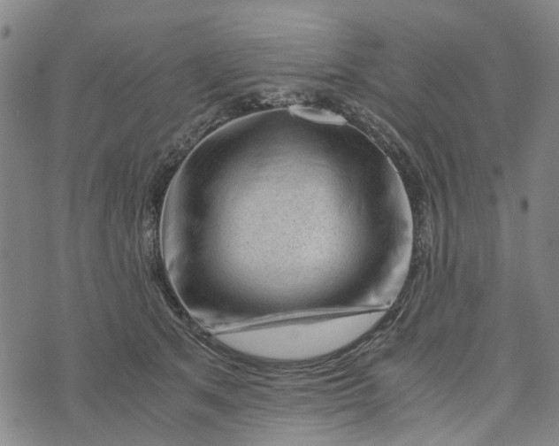 X0000076350513200610161802