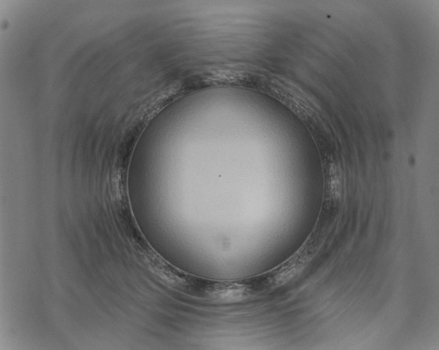 X0000076350514200610161802