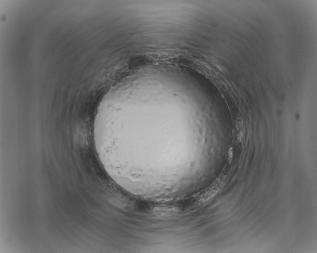 X0000076350515200610161802