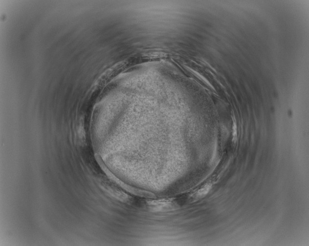 X0000076350516200610161802