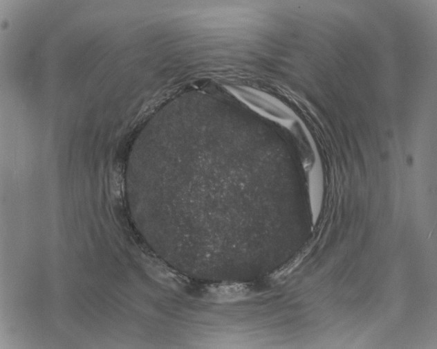 X0000076350517200610161802