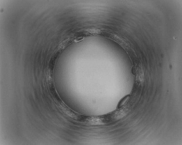 X0000076350518200610161802