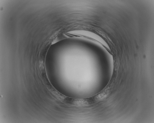 X0000076350521200610161802