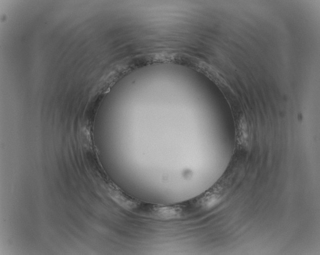 X0000076350522200610161802