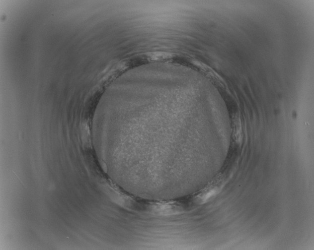 X0000076350523200610161802