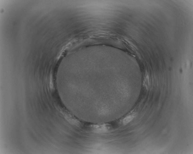 X0000076350524200610161802