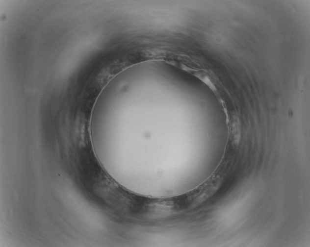 X0000076350525200610161802