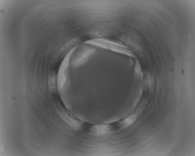 X0000076350526200610161802