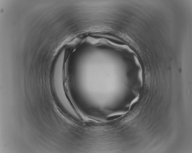 X0000076350530200610161801