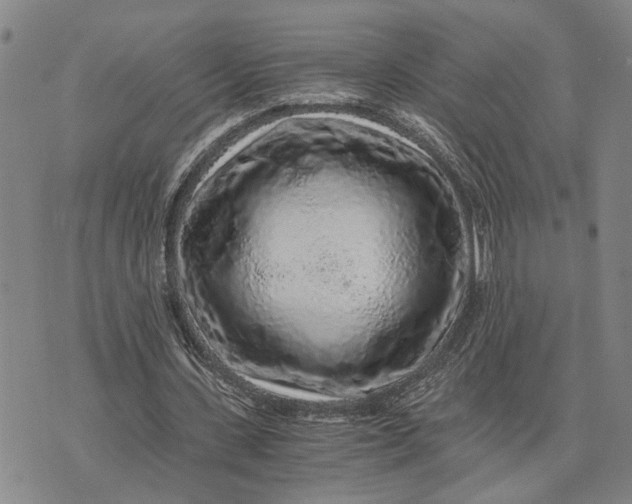 X0000076350531200610161801