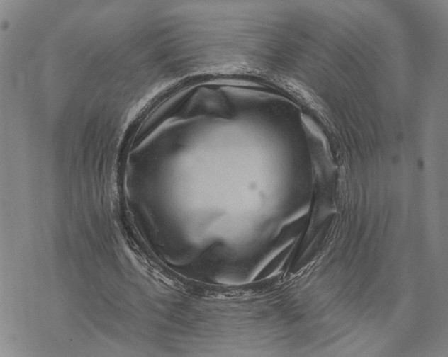 X0000076350532200610161801