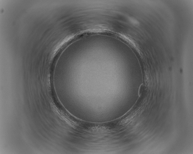 X0000076350535200610161801