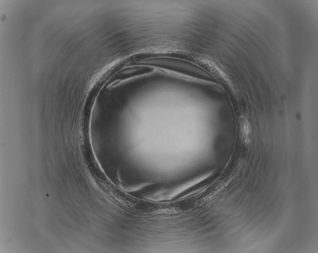 X0000076350536200610161801