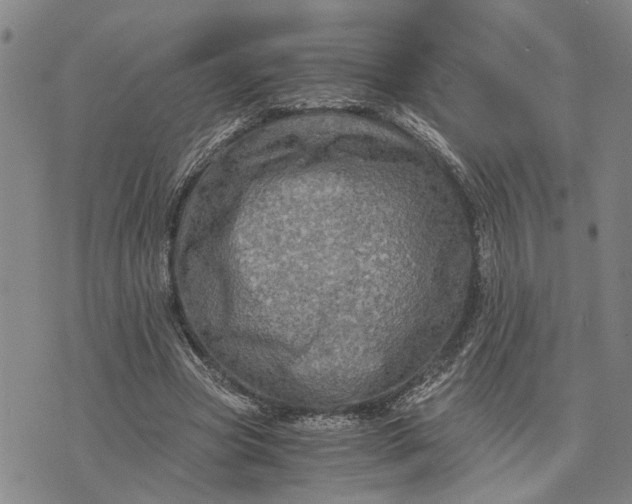 X0000076350537200610161801