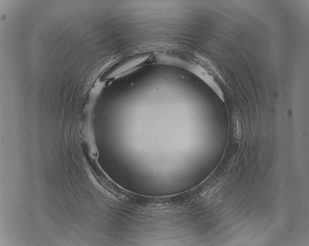 X0000076350538200610161801